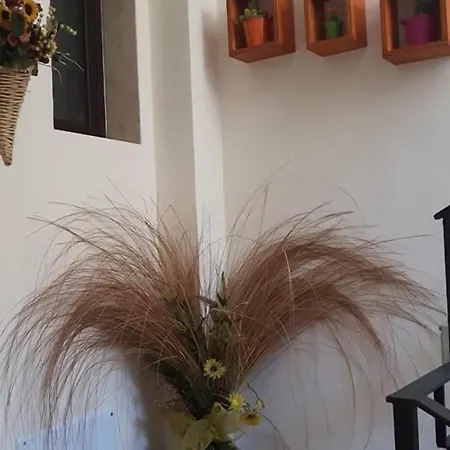 La Cornucopia Bed and breakfast 3*