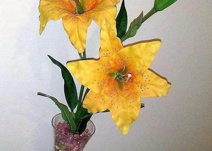 La Cornucopia 加利波利