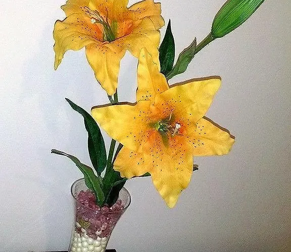 La Cornucopia 3* 加利波利