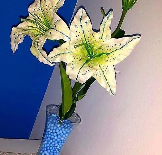 住宿加早餐酒店 La Cornucopia