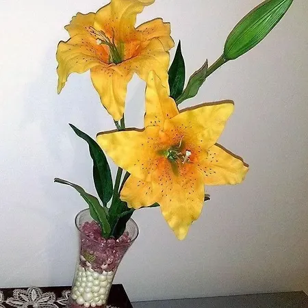 La Cornucopia 加利波利